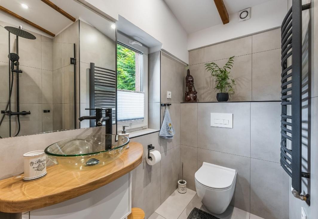 Apartament Pod Bukowym Lasem Meszna Bagian luar foto